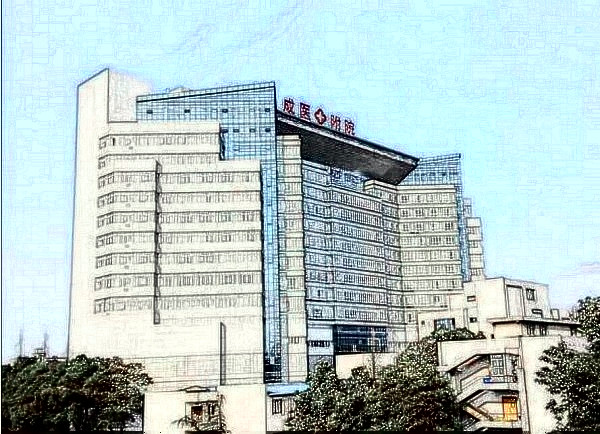 成都中醫(yī)藥大學附屬醫(yī)院(四川省中醫(yī)院)整形美容科