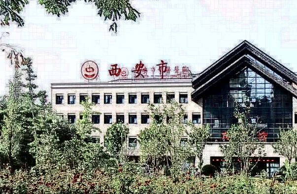 西安市中醫(yī)醫(yī)院祛斑醫(yī)生哪個(gè)好?價(jià)格多少?