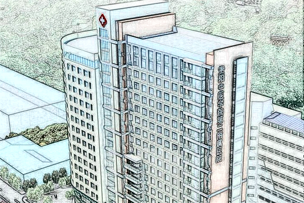 貴陽中醫(yī)學(xué)院二附院墊下巴多少錢_哪位醫(yī)生做的比較好