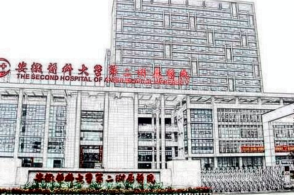 2024安醫(yī)附二院隆鼻多少錢(qián)?隆鼻子哪種材料好