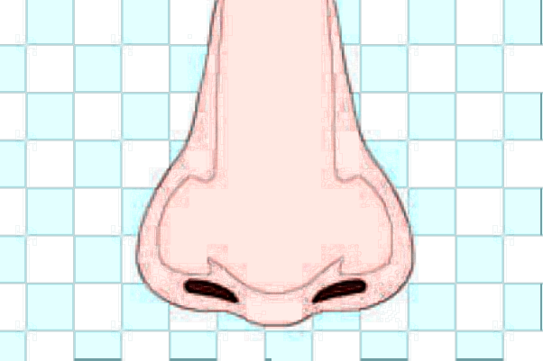 膨體隆鼻可以維持多少年?膨體隆鼻可以取出來嗎?