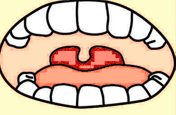 嘉興二院種植牙哪個醫(yī)生好?2024醫(yī)生收費價格