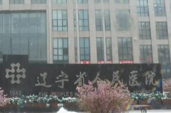 遼寧省人民醫(yī)院根管費(fèi)用多少?整形日記全過程