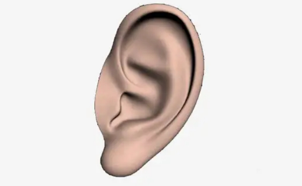 襄陽伊爾美醫(yī)療美容門診部招風(fēng)耳矯正術(shù)后半年案例欣賞(效果怎么樣?技術(shù)優(yōu)勢(shì))