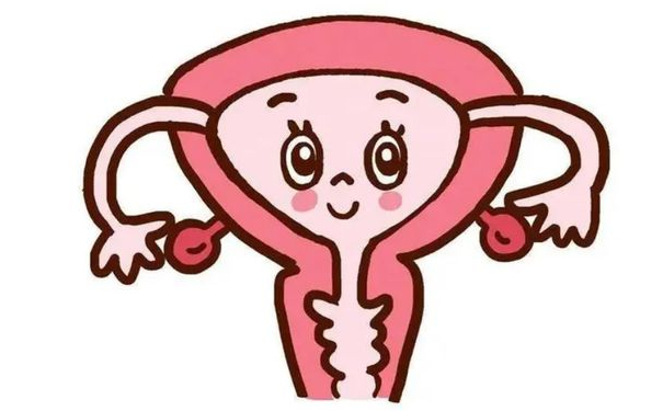 華中科技大學(xué)同濟(jì)醫(yī)學(xué)院醫(yī)院私密整形價格?120天恢復(fù)案例