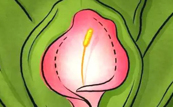 成都錦欣婦產(chǎn)科醫(yī)院私密整形價(jià)目表?術(shù)后半年案例點(diǎn)評