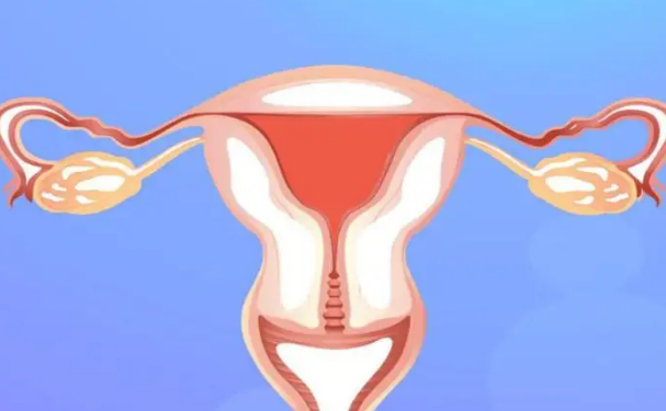 青島新陽(yáng)光婦產(chǎn)醫(yī)院陰道松弛手術(shù)術(shù)后一年案例欣賞&價(jià)格查詢?