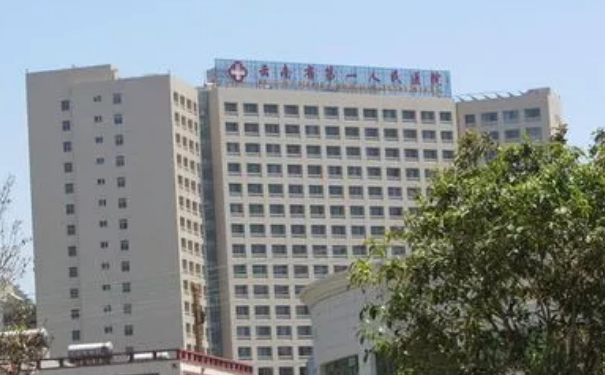 昆明市第一人民醫(yī)院星耀醫(yī)院脂肪填充術(shù)后半年案例欣賞&價(jià)格明細(xì)?