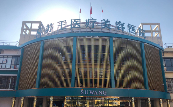 南京江寧蘇王美容醫(yī)院脂肪填充技術(shù)級別怎么樣術(shù)后三個月野生案例