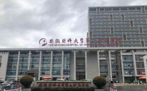 安徽醫(yī)科大學第二附屬醫(yī)院李紅紅v臉提升手術(shù)怎么樣?需要多少錢?術(shù)后6個月案例&技術(shù)特色