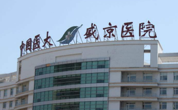 盛京醫(yī)院自體脂肪填充120天案例反饋(效果怎么樣?技術(shù)等級)