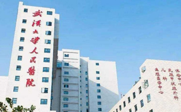 武漢大學(xué)人民醫(yī)院陳學(xué)杰陰道松弛手術(shù)技術(shù)怎么樣?價格表?90天案例