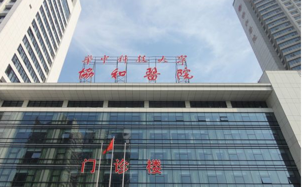 華中科技大學同濟醫(yī)學院附屬協(xié)和醫(yī)院劉嘉鋒隆鼻需要多少錢?技術優(yōu)點&術后90天案例