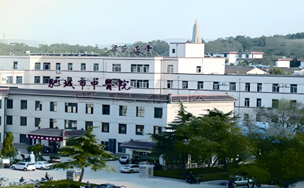 肥城市中醫(yī)醫(yī)院王永紅兩腮凹陷整形手術(shù)怎么樣?價(jià)格?求美案例&技術(shù)評(píng)測(cè)